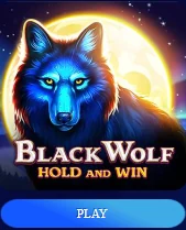 POKIES99 slot game showcase