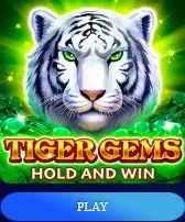 POKIES99 slot game showcase